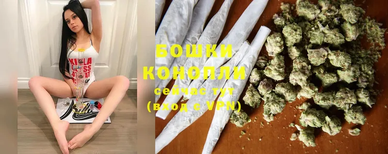 наркота  Сергач  Шишки марихуана OG Kush 